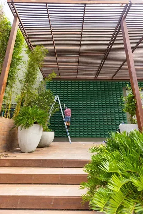 Person on ladder working on a green wall under a slatted wooden pergola, with potted plants and steps.