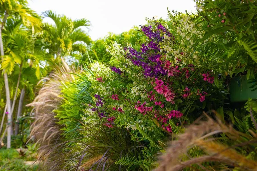 Flowering bushes with white, pink, and purple blossoms against green foliage; palm trees in the background.