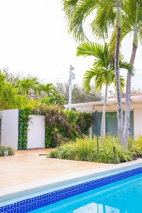Swimming pool with palm trees, a white wall with greenery, and a white building.