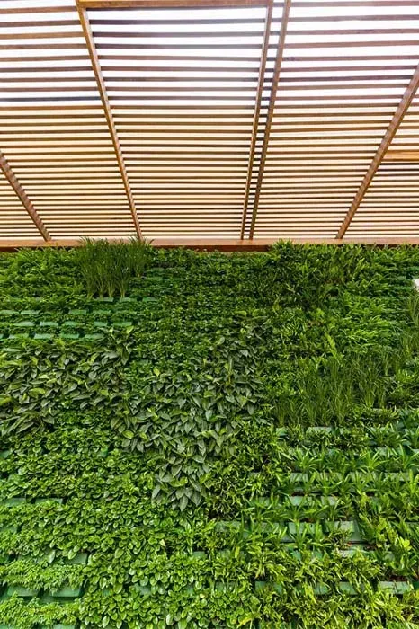 Green living wall with varying foliage textures, beneath a wooden slatted ceiling.