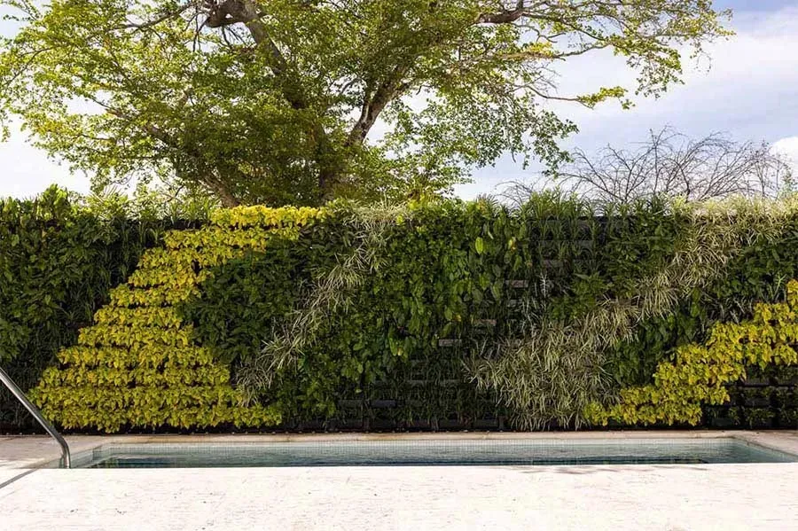 Green living wall with geometric patterns, next to a pool. Large tree in background.