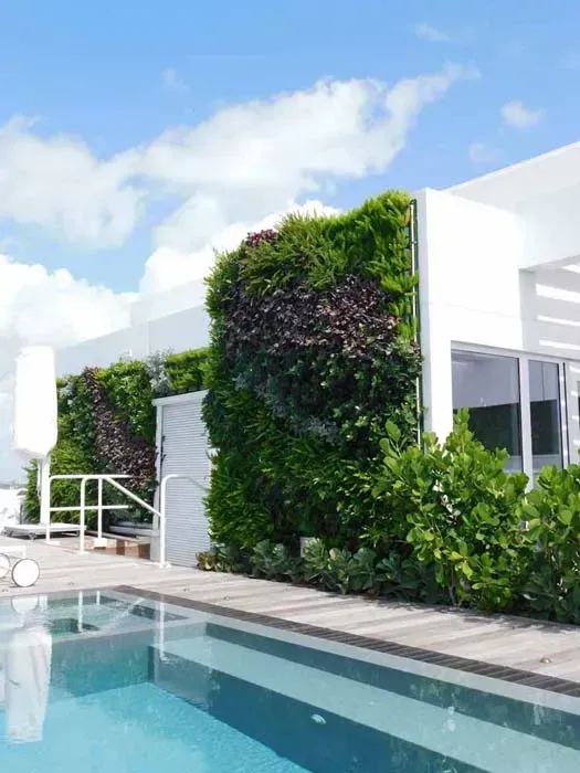 Green wall next to a swimming pool, blue sky in the background, white building.
