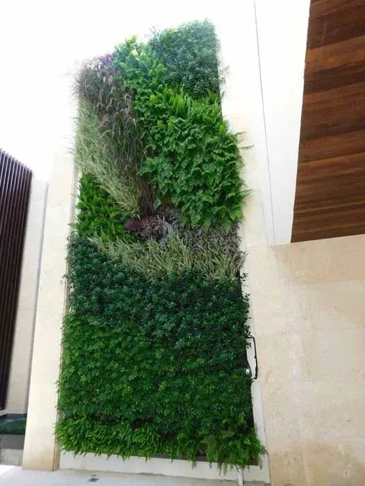 Living wall with various green plants on a building exterior.