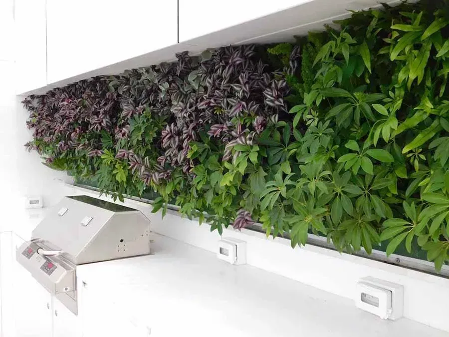 Green wall with purple and green foliage in a white framed recess, with a small metal control box below.