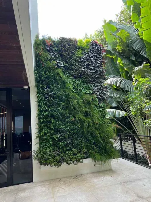 Green living wall on a building exterior, with varying plant textures and colors, beside a door.