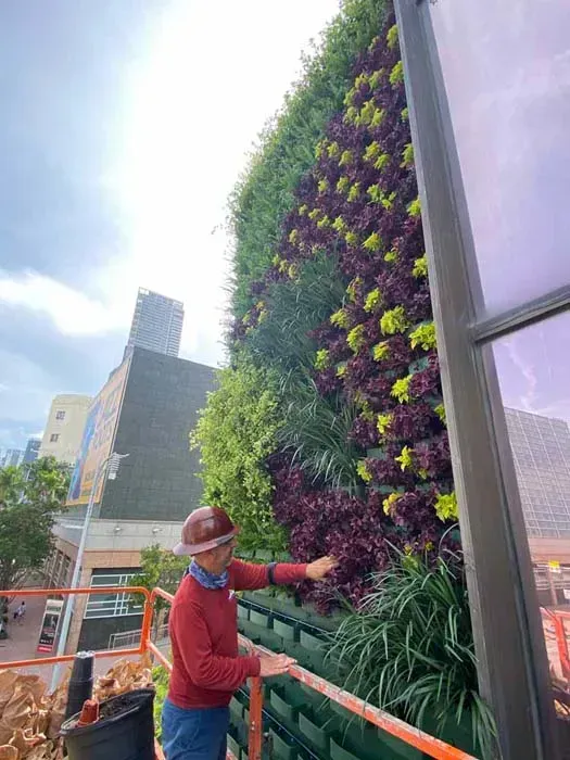 Man in hard hat points at a vibrant green wall with purple and yellow plants, against a city backdrop.