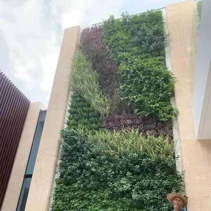 Green wall of diverse plants on a building facade. Beige pillars frame the living wall with a person below.