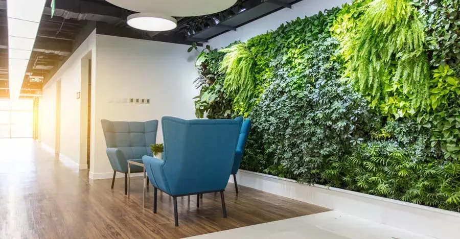 Modern office waiting area with blue armchairs, wood floors, and a living green wall.
