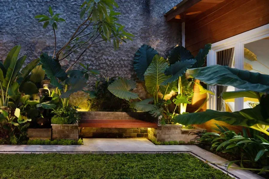 Nighttime outdoor garden with bench, lush green plants, and soft lighting.
