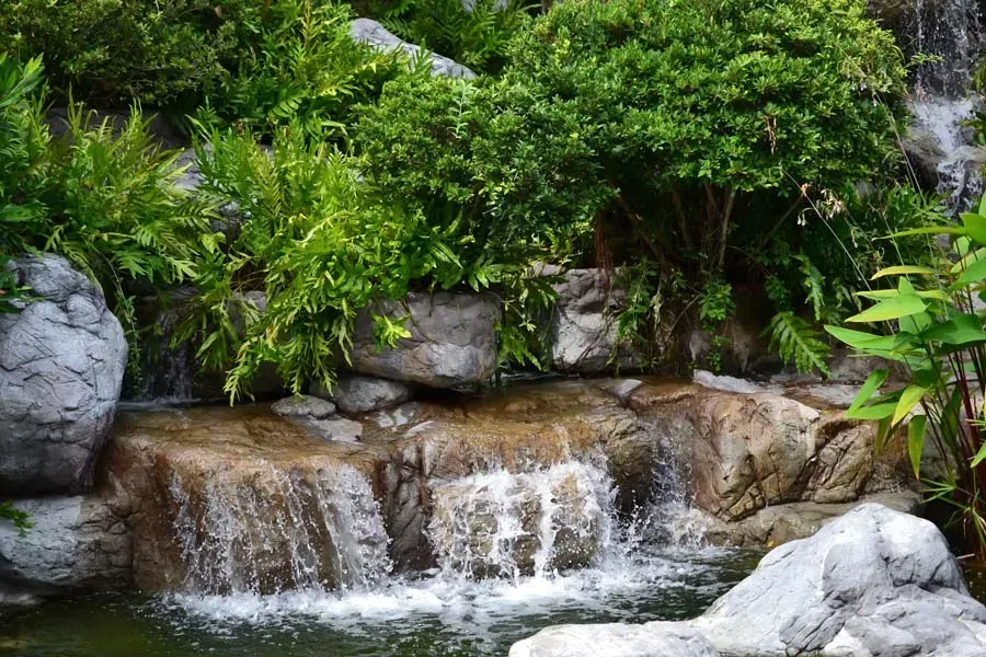 Waterfall cascading over rocks into a small pond, surrounded by lush green plants.