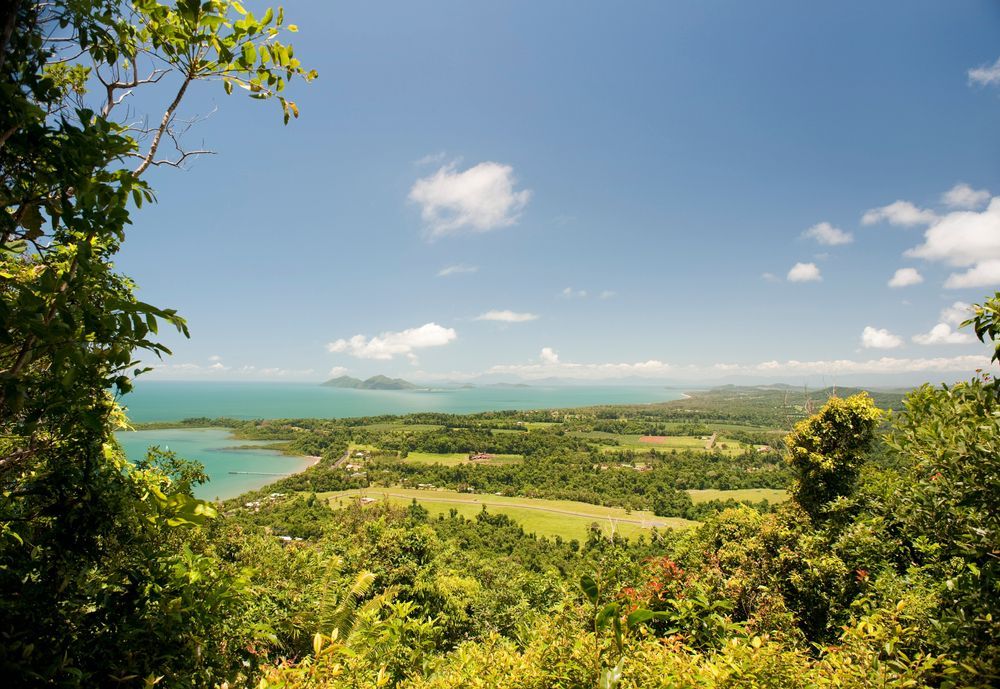 A View Of A Lush Green Landscape With A Body Of Water In The Background — TerraModus Surveying In Cassowary Coast, QLD