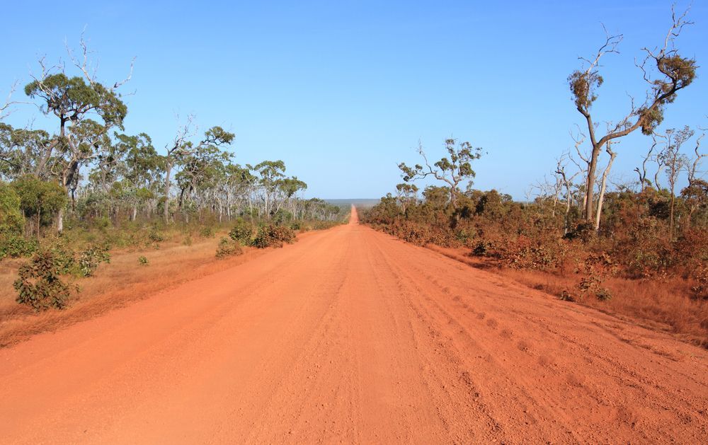 A Dirt Road With Trees On Both Sides And A Blue Sky In The Background — TerraModus Surveying In Cape York, QLD