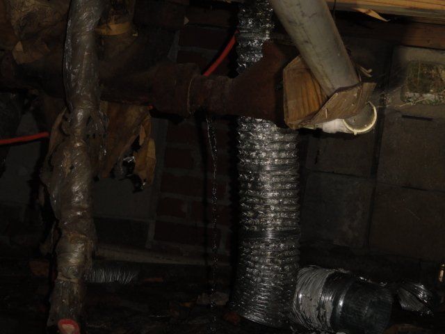 Business Inspection — Termite Damage in Richland, MS