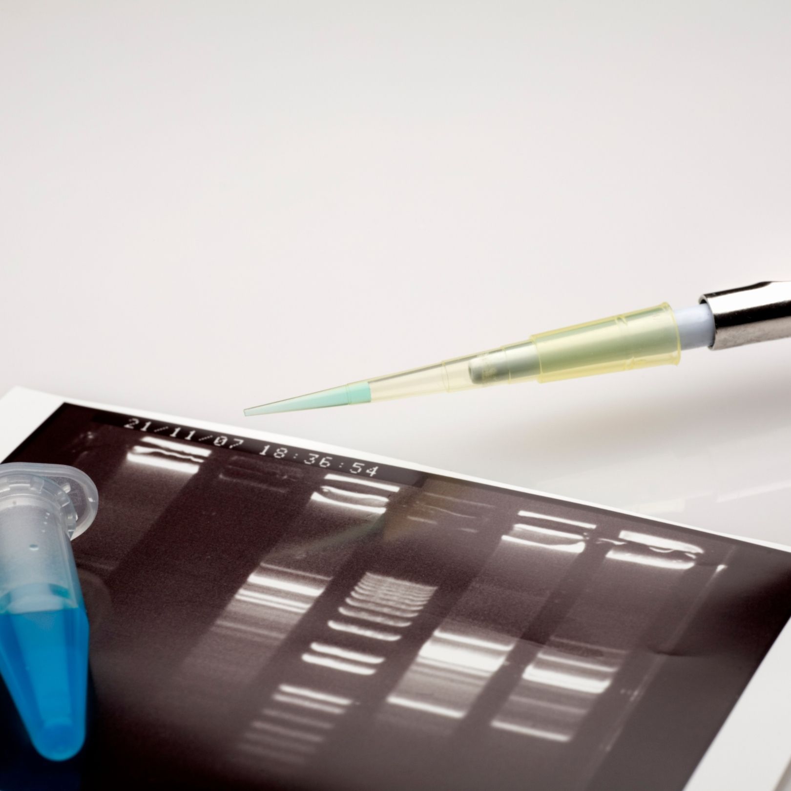 A micropipette tip hovers over a gel electrophoresis results photo, with a blue microcentrifuge tube nearby.