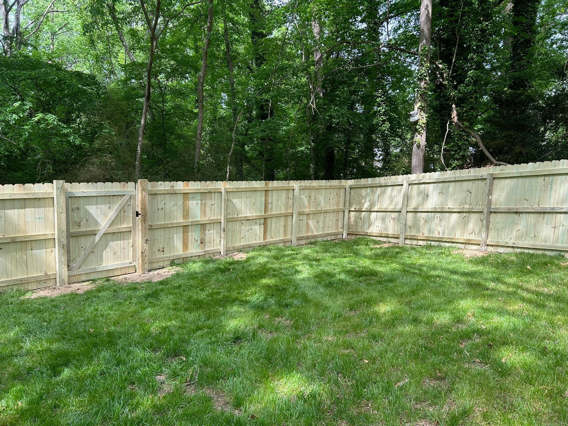 A wooden fence with a gate in a backyard surrounded by trees.