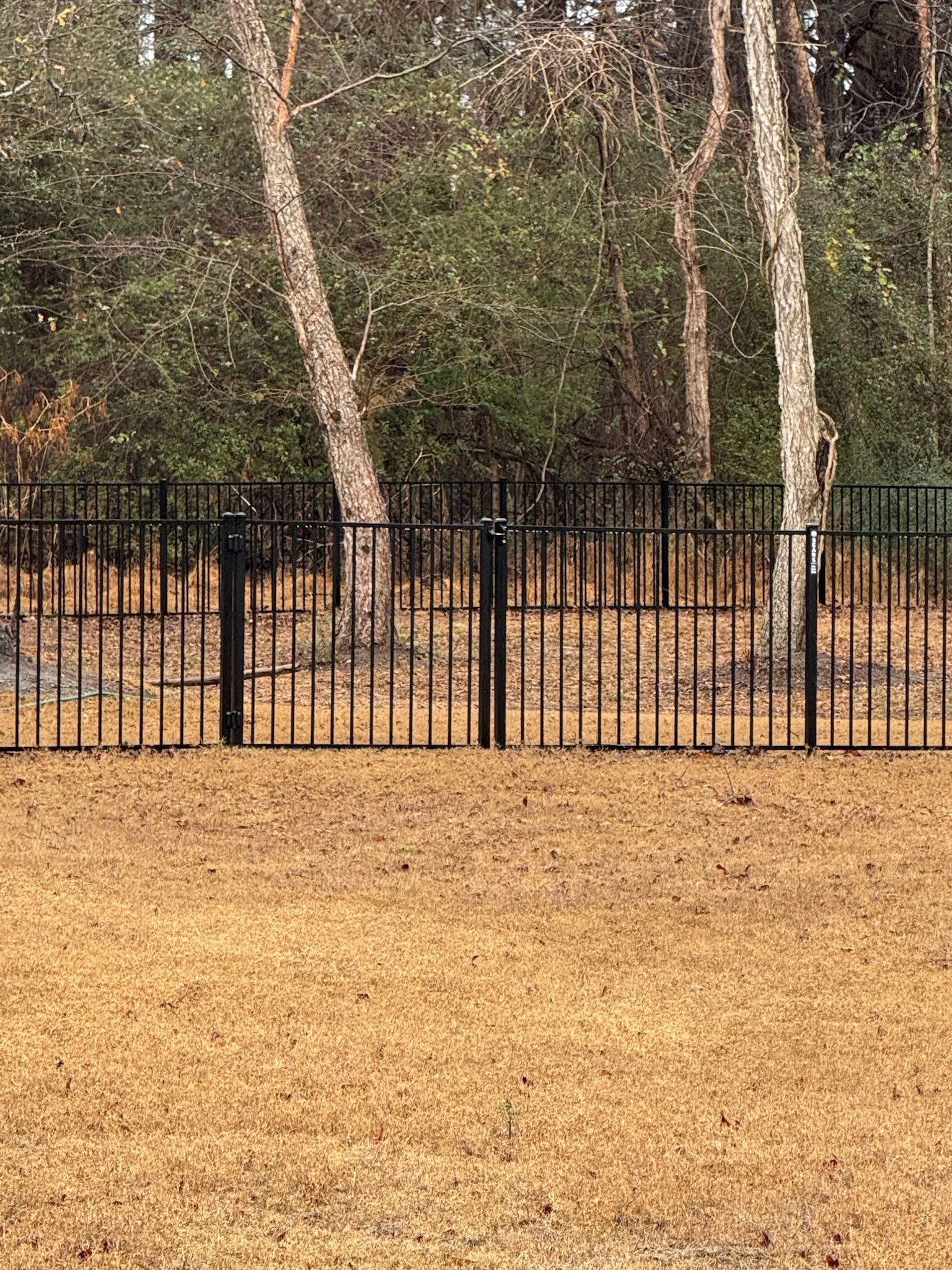 A metal fence surrounds a dry grass field with trees in the background.