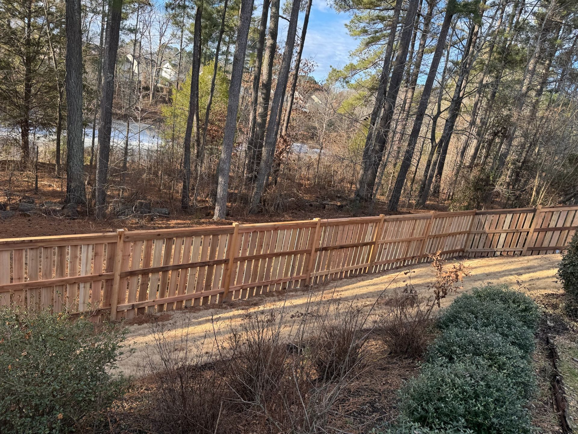 A wooden fence surrounds a lush green forest.