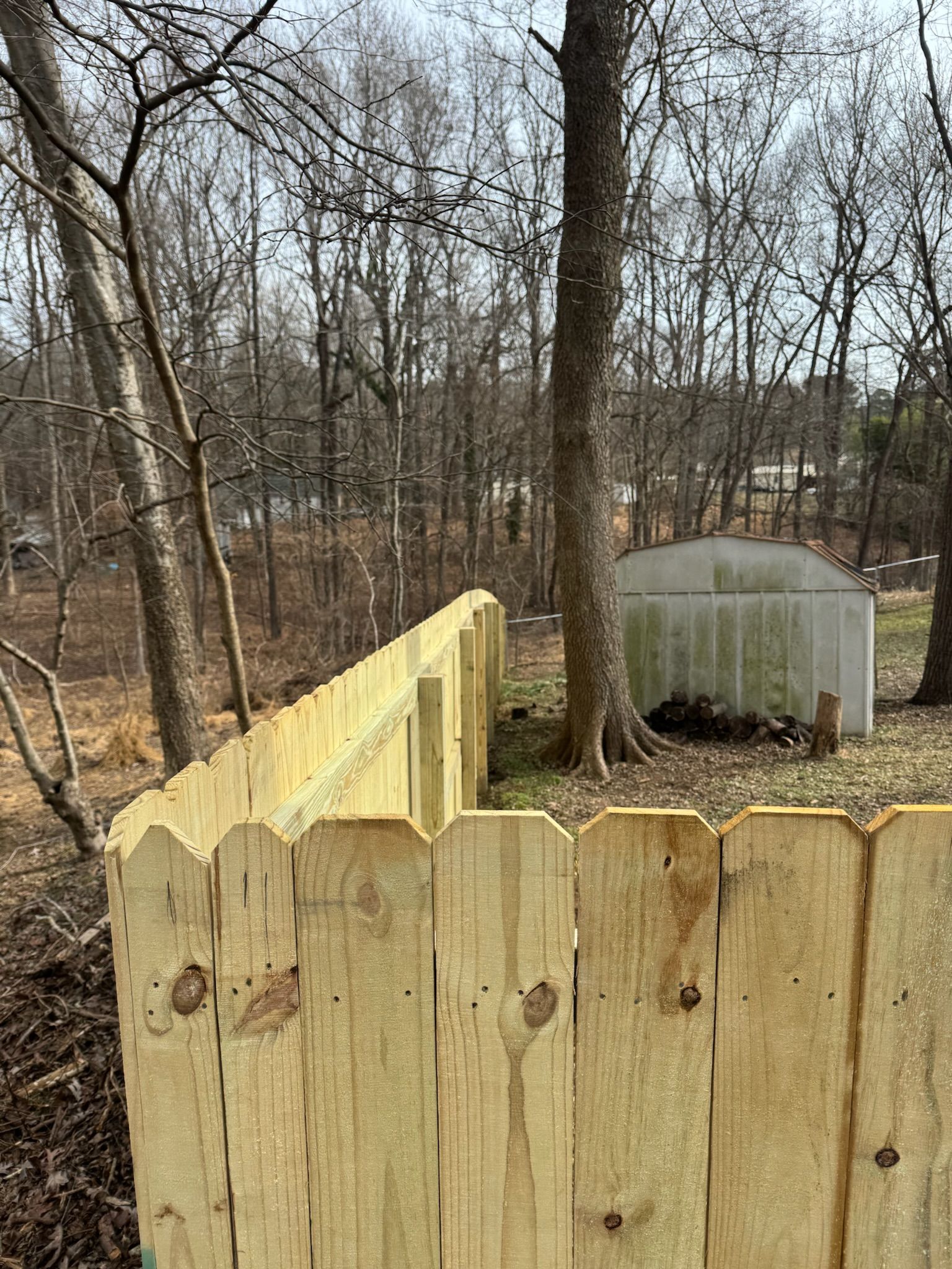 A wooden fence is sitting in the middle of a forest.