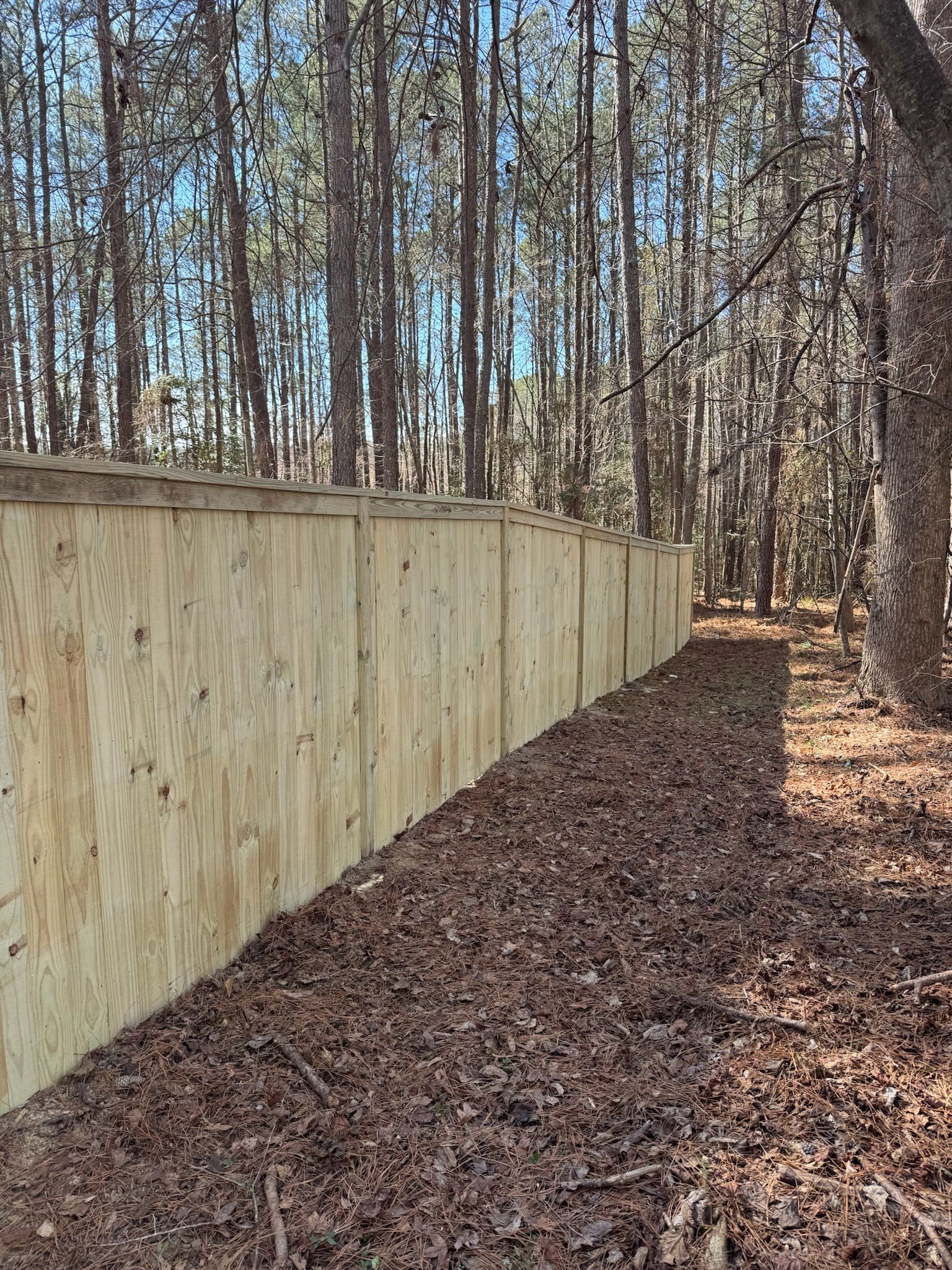 A wooden fence in the middle of a forest.