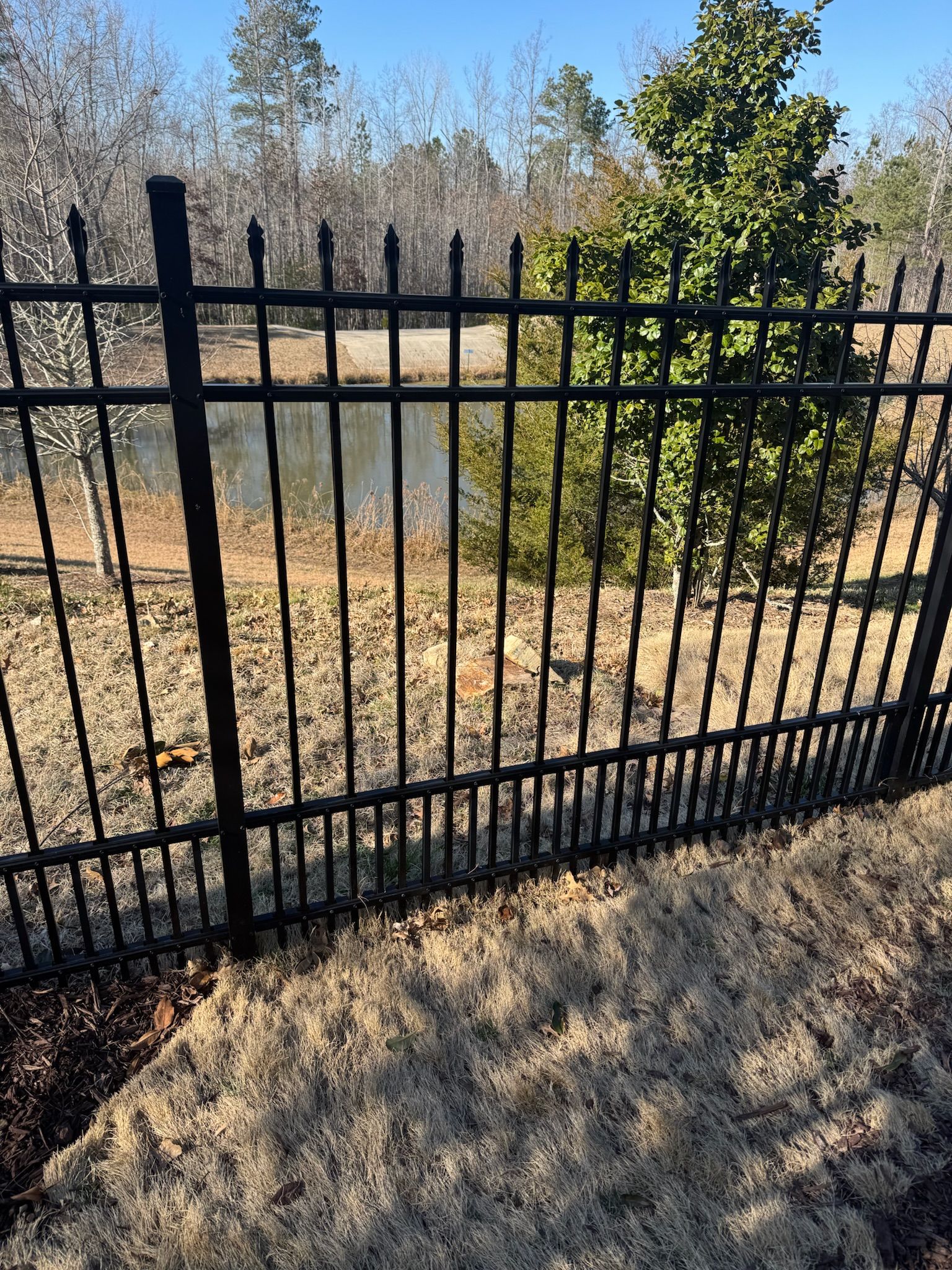 A black metal fence surrounds a pond in a park.