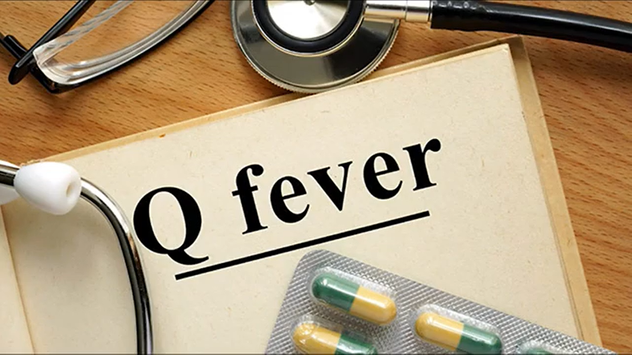 Q Fever Information