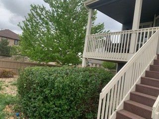 landscaping services