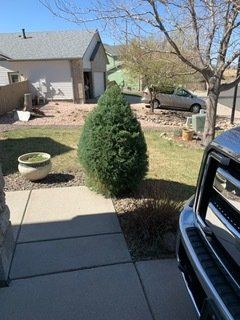 landscaping services