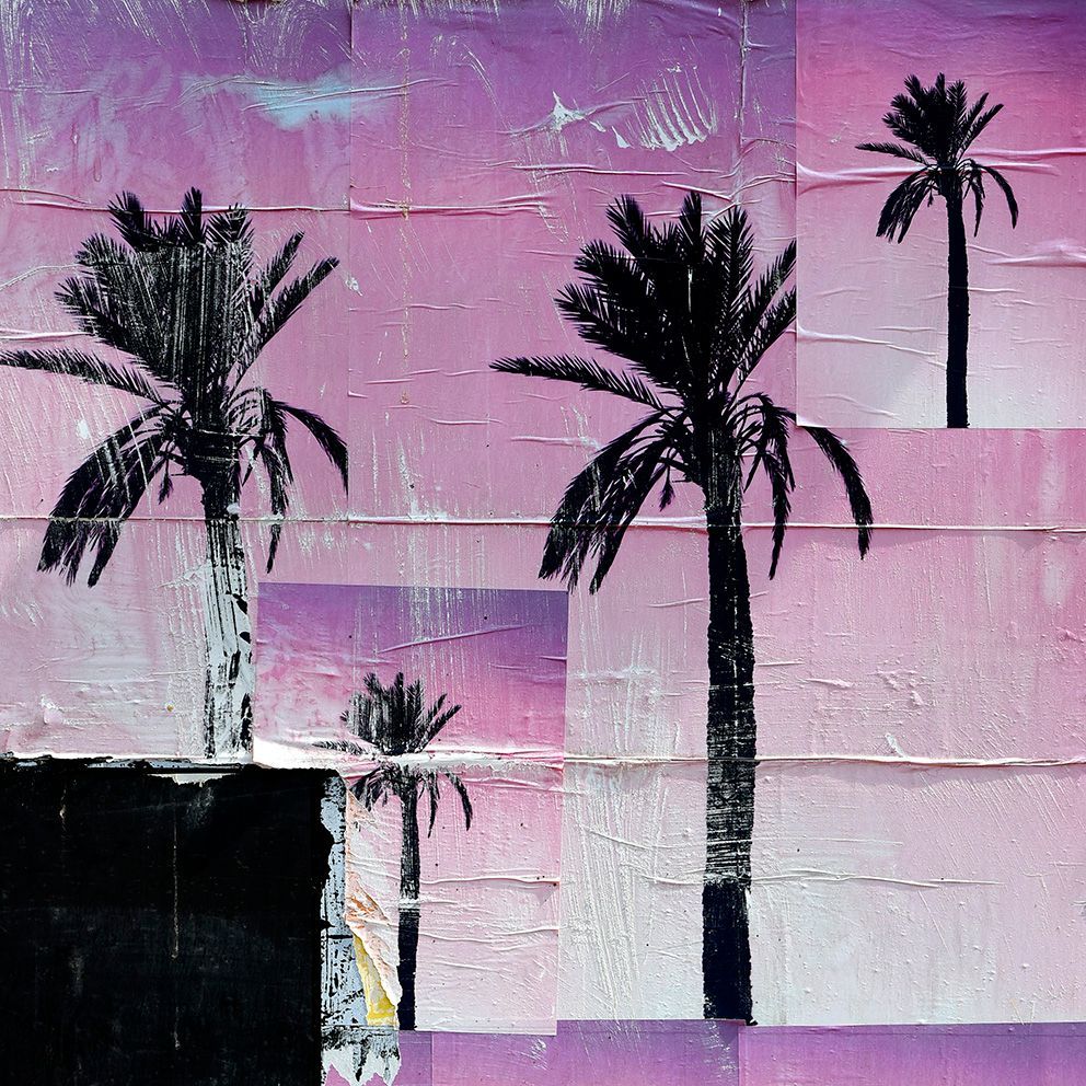 Palm trees in streetart, Frankfurt
