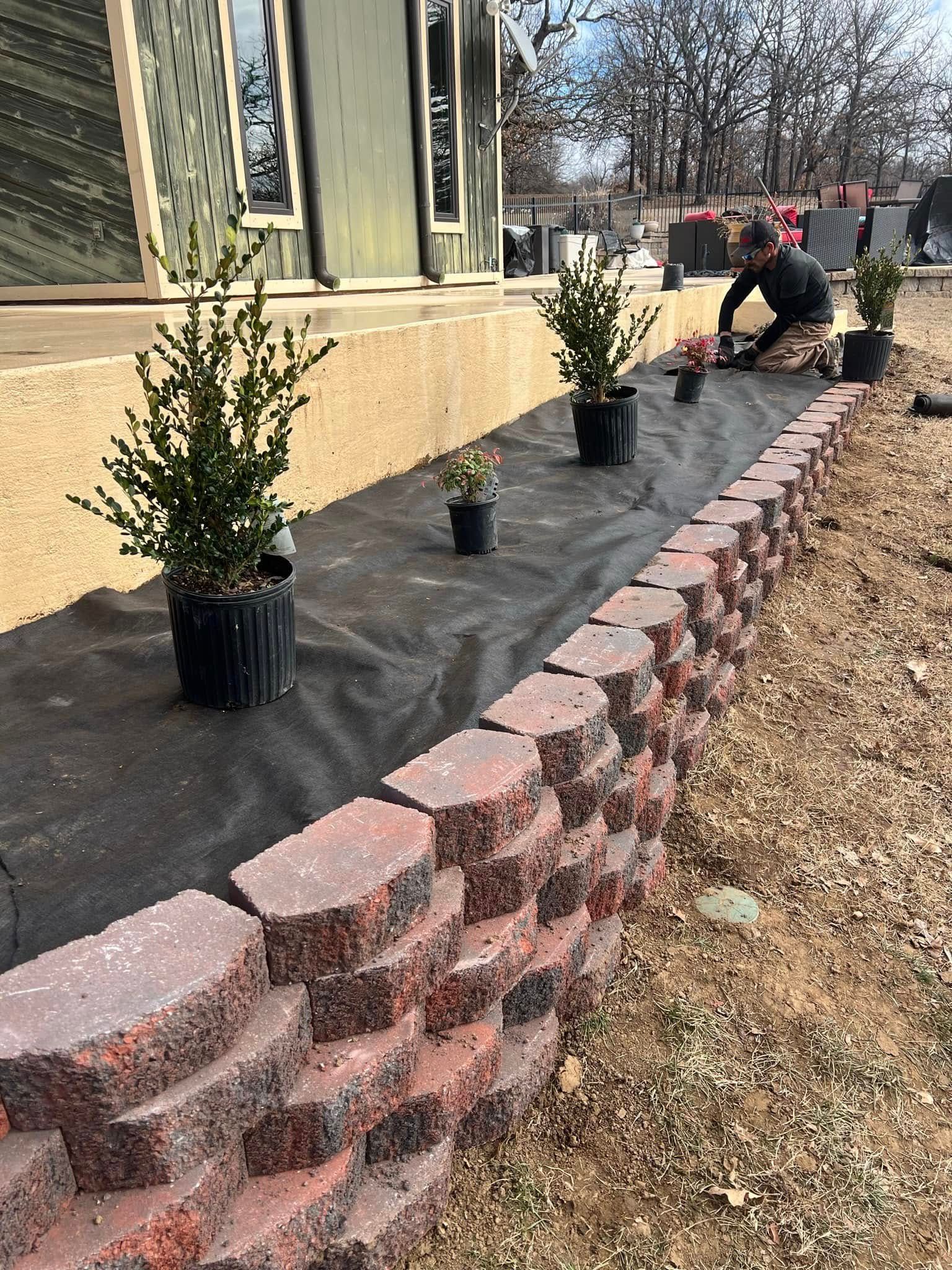 Person planting bushes in a garden bed with a brick retaining wall.
