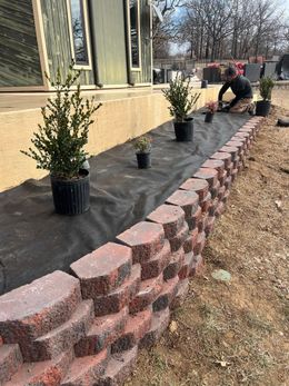 Person planting bushes in a garden bed with a brick retaining wall.