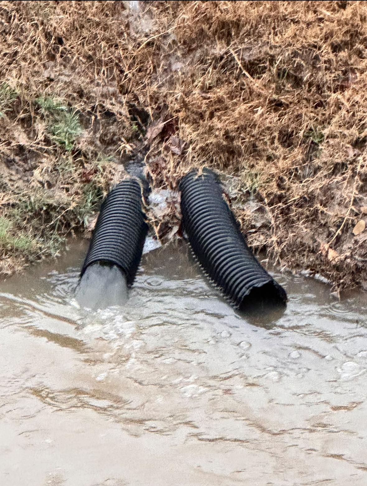 Two black corrugated pipes draining water into a muddy creek.