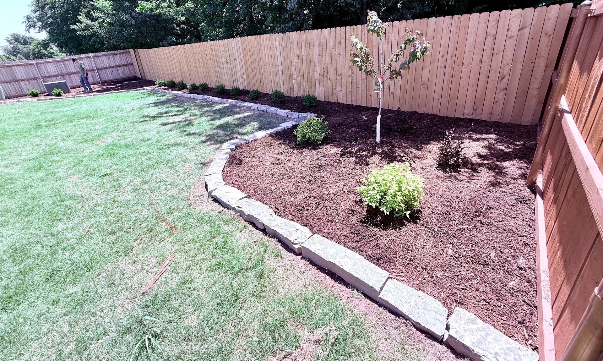 A backyard with a wooden fence, garden bed with mulch and plants, and green grass.