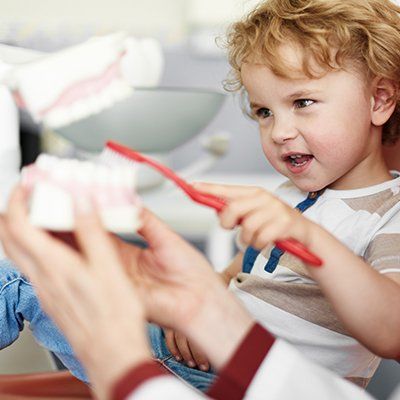 Child Dental Care — Newton, SA — Arena Dental