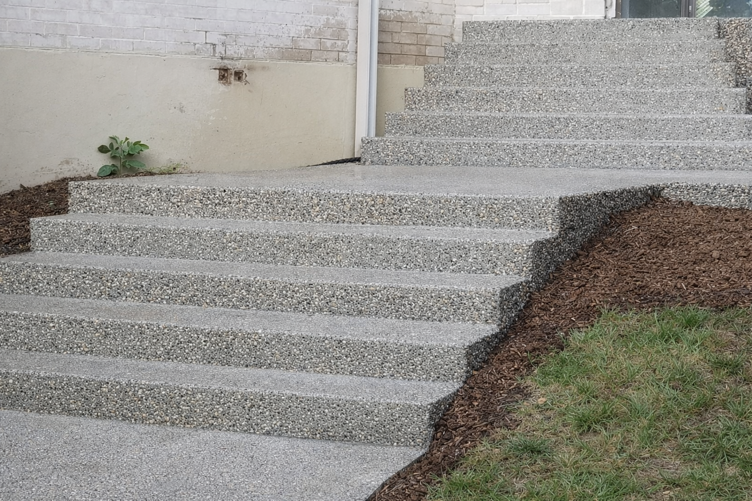 Concrete steps leading up to a building entrance, bordered by mulch and grass.