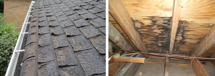 Damaged Roofs Showing Signs of Replacement Needs