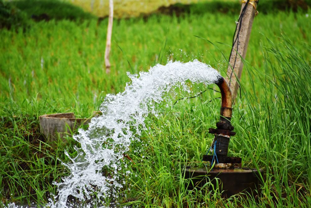 Water Gushing From a Pipe Into a Grassy Field — NRG Drilling in Tin Can Bay, QLD