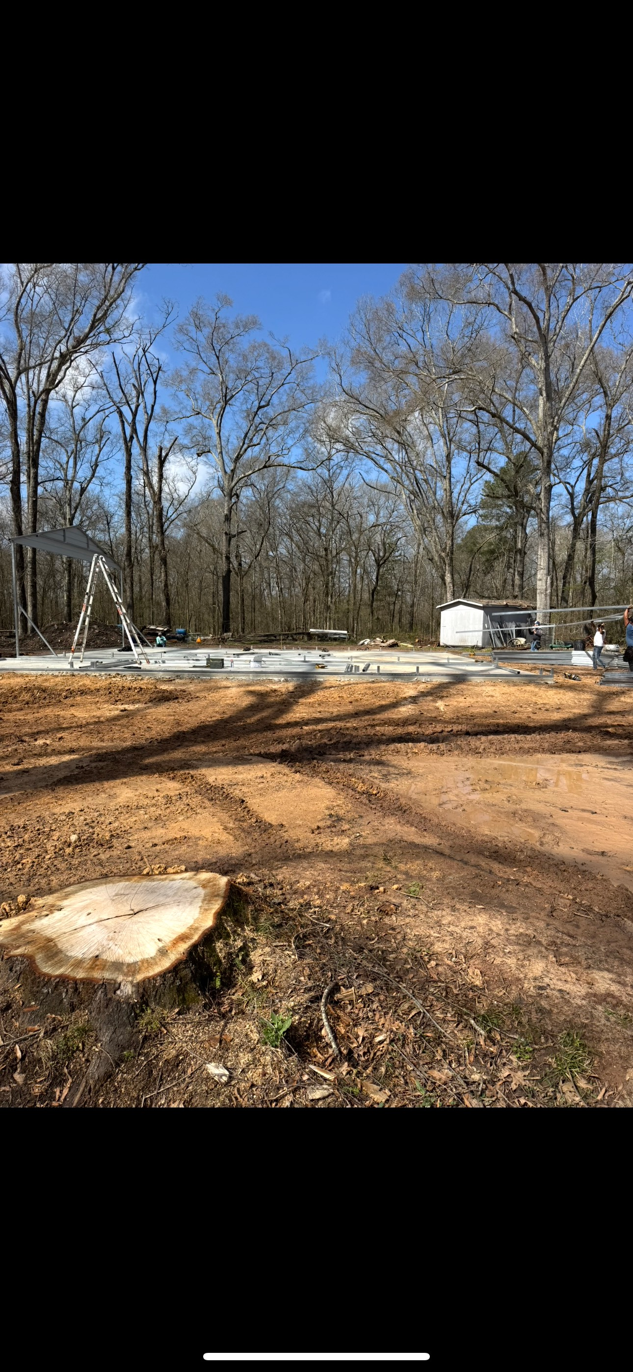 A large tree stump is sitting in the middle of a dirt field.