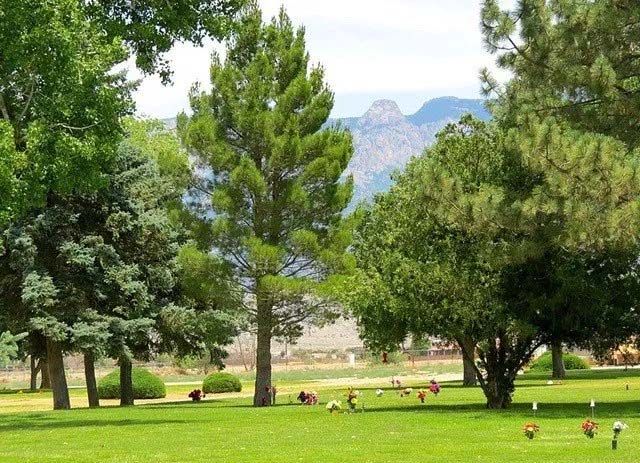 Lush green cemetery with trees and distant mountains under a bright sky.