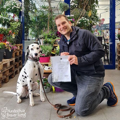 Bild Teilnehmer Hundeführerschein Dalmatiner