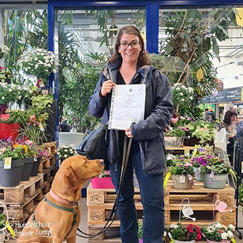Bild Teilnehmer Hundeführerschein Labrador