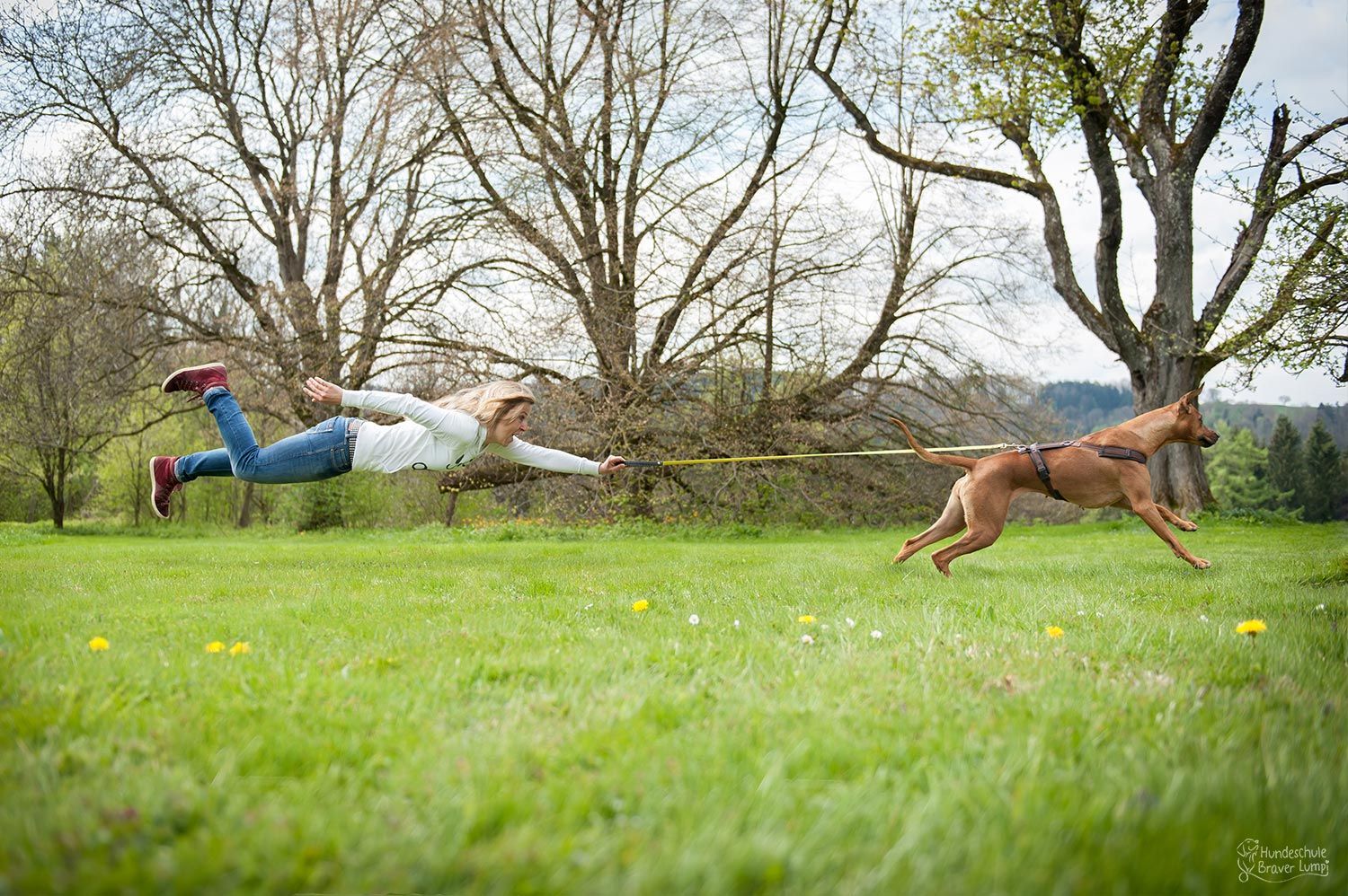 Hund mit fliegender Besitzerin