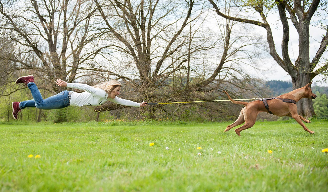 Bild: fliegende Person mit Hund an der Leine