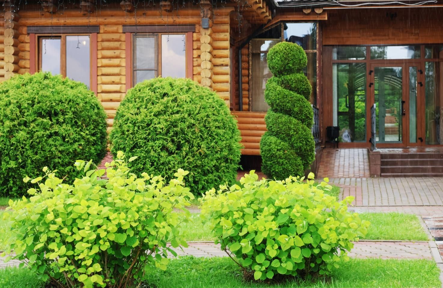 Log cabin with manicured green shrubs and spiral topiary in front.