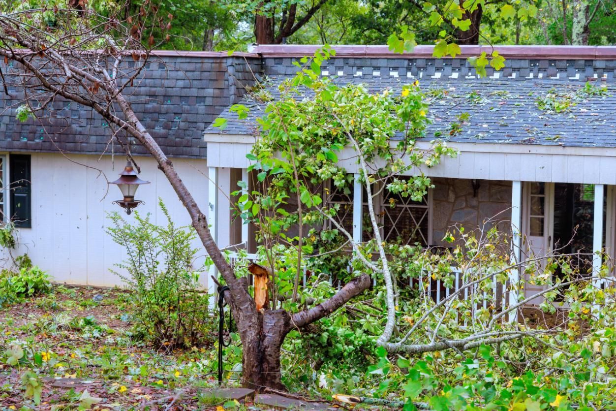Tree fallen in front of a house, possibly due to storm damage. 