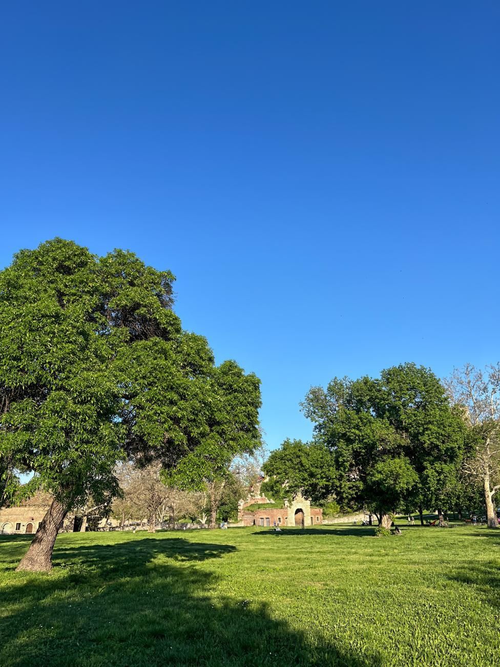 Green trees and grass under a bright blue sky. A building is visible in the distance.