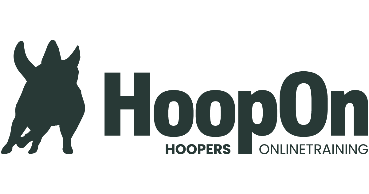 HoopOn: Individuelles Hoopers Onlinetraining mit Ramona Houscht