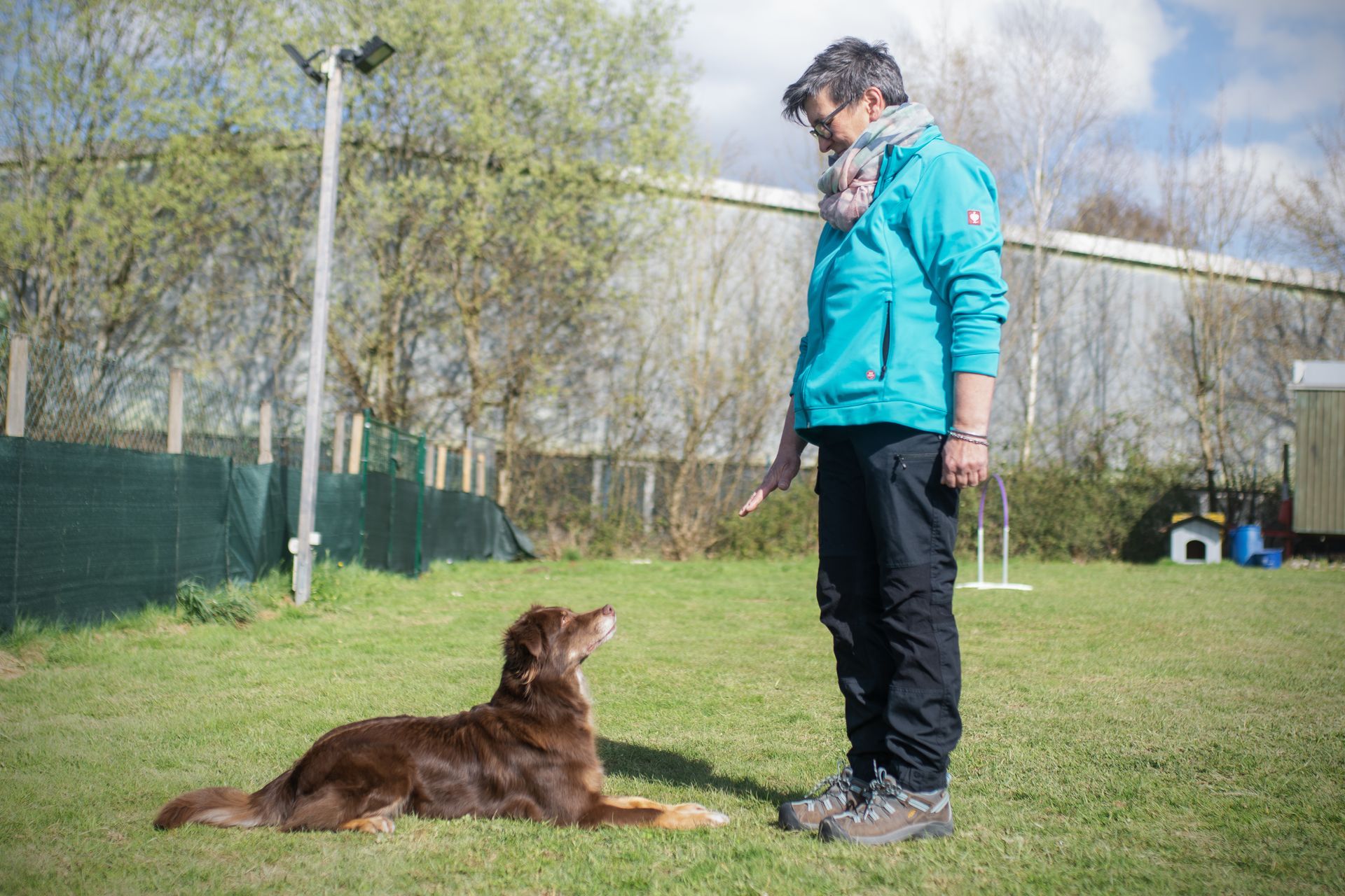 Frau mit ihrem Hund im Hoopers Parcours, Hund rennt durch einen Tunnel