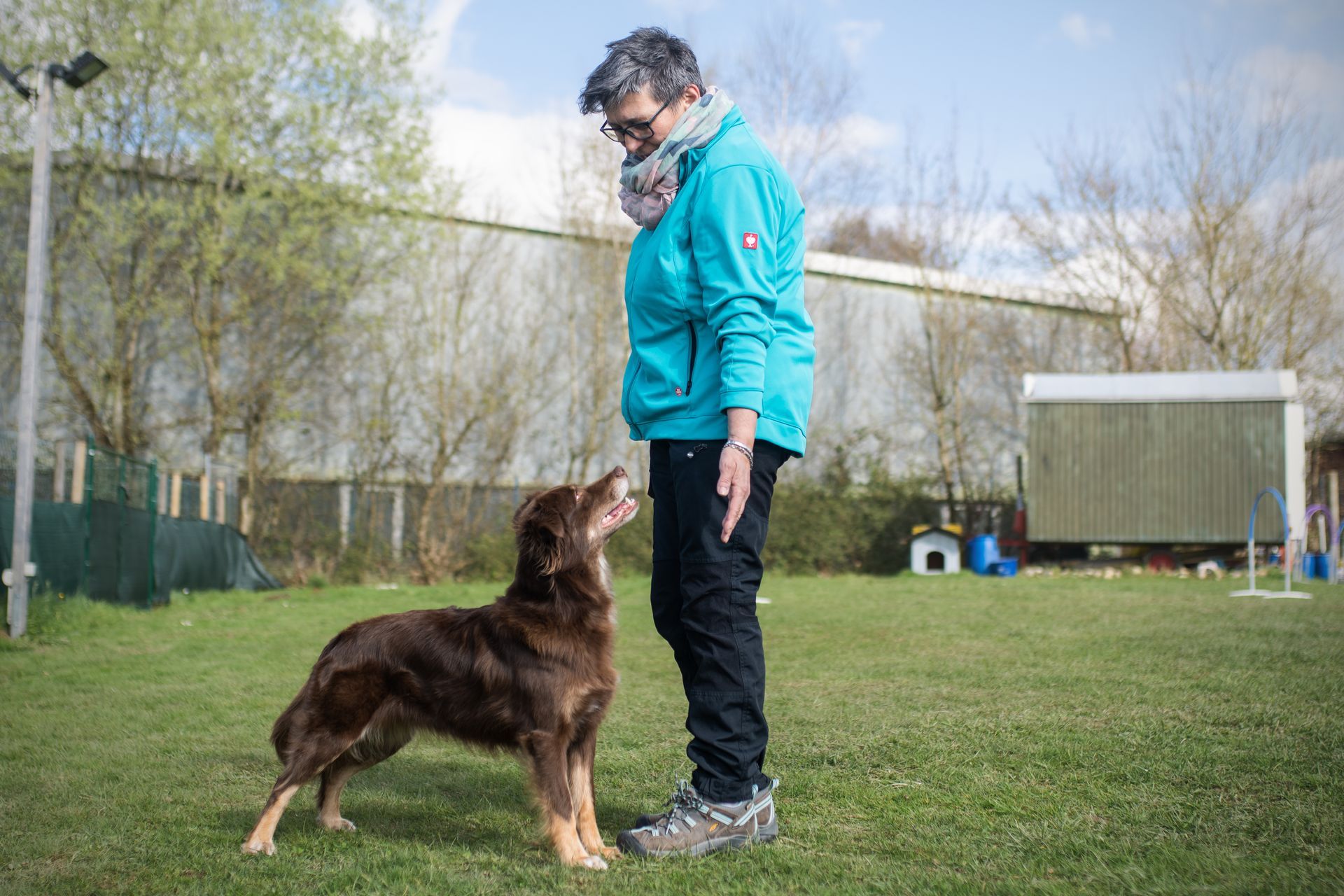 Frau mit ihrem Hund im Hoopers Parcours, Hund rennt durch einen Hoop