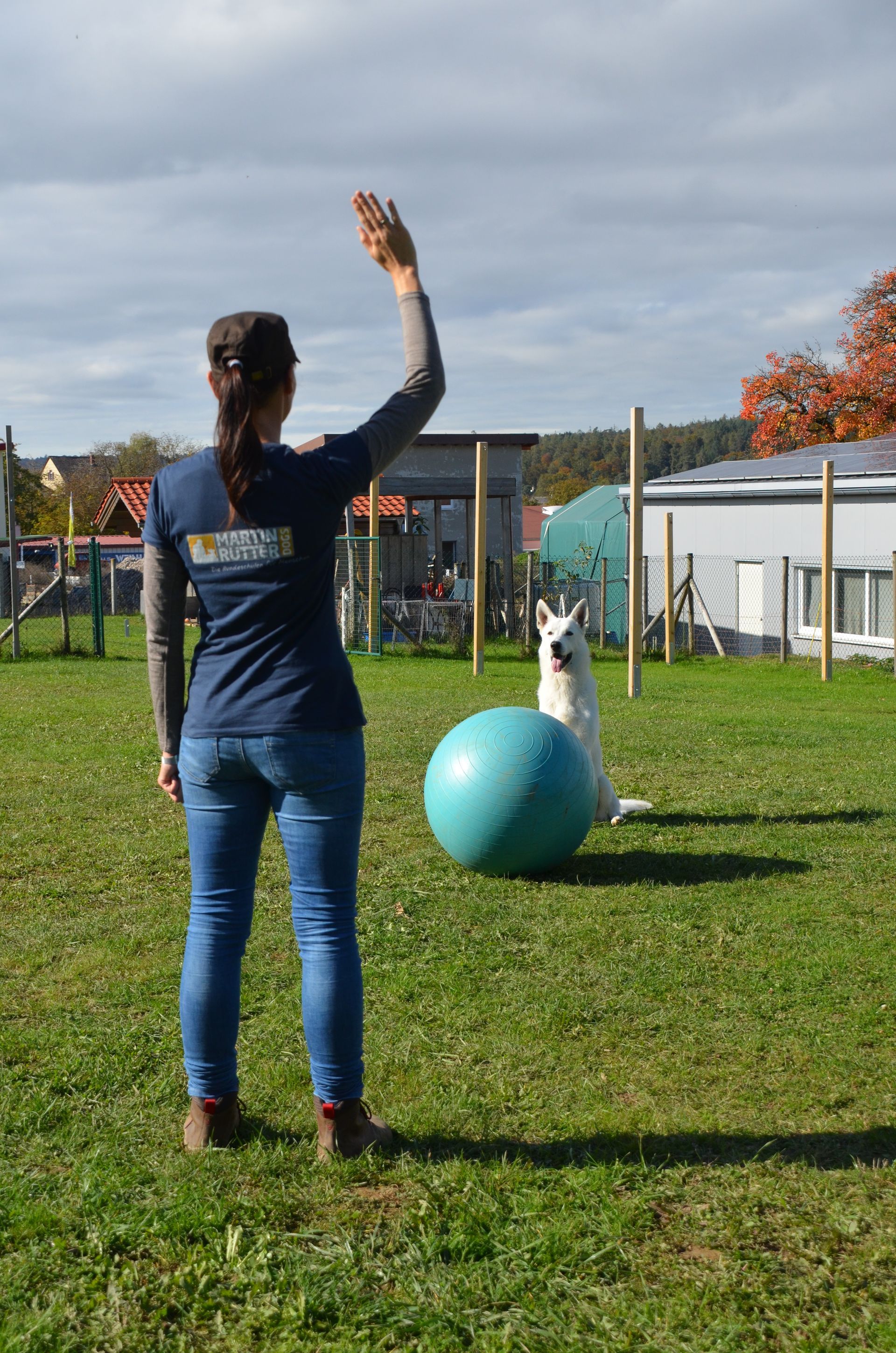 Ramona Houscht und Schäferhund Jimmy bei einer Treibball-Übung