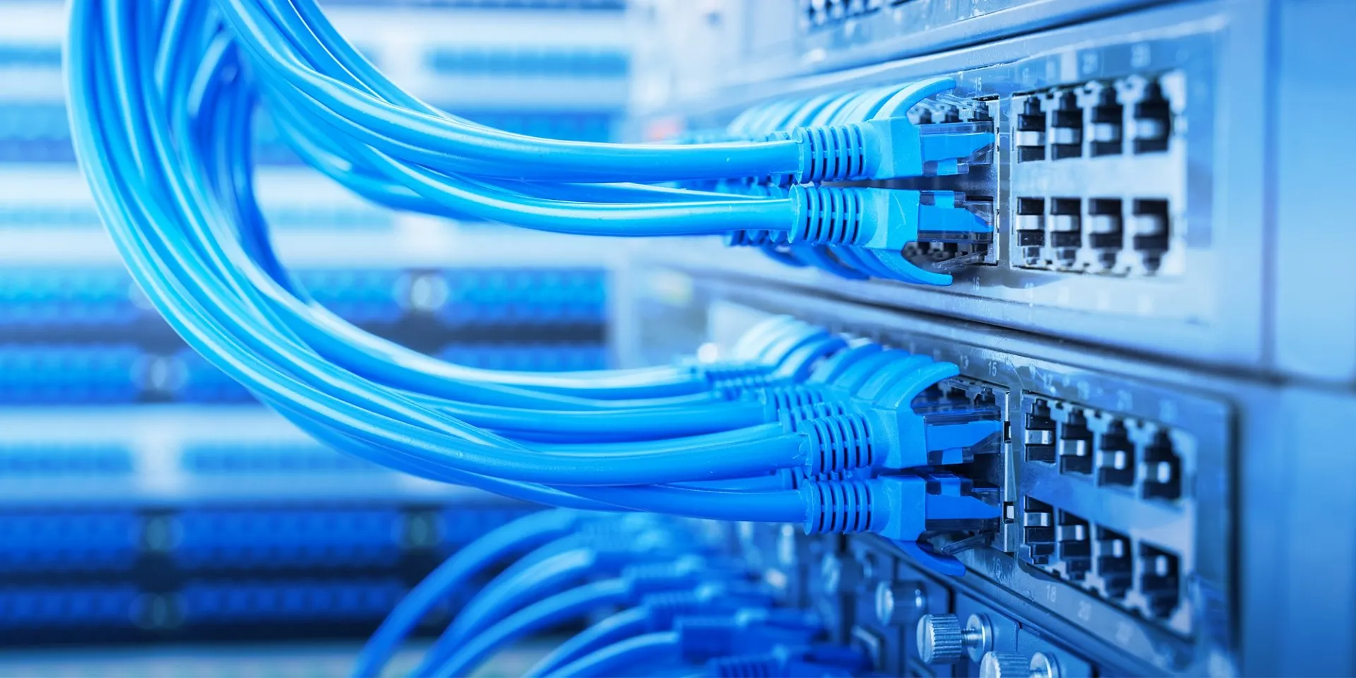 Blue Ethernet cables plugged into a network switch panel in a server room